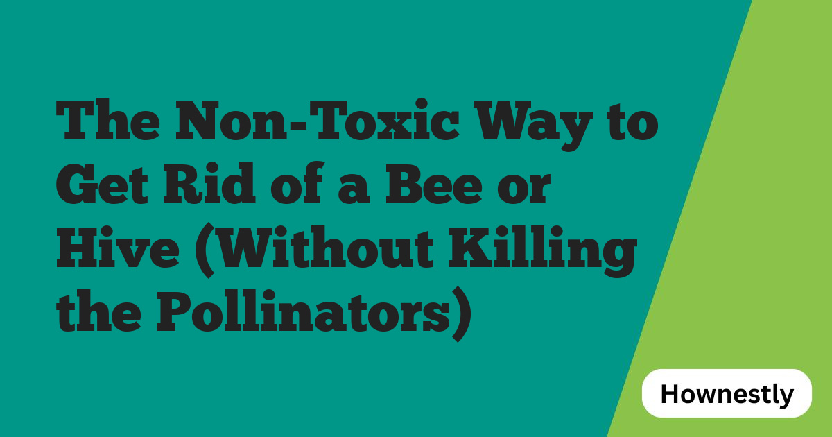 The Non-Toxic Way to Get Rid of a Bee or Hive (Without Killing the Pollinators)