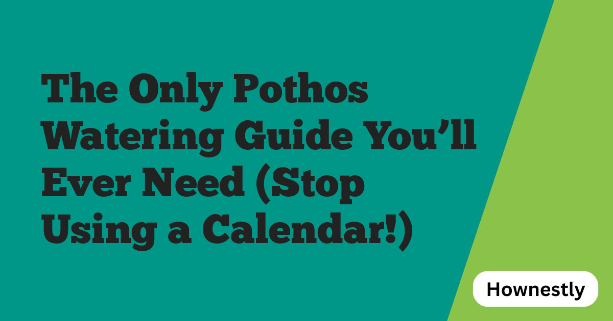 The Only Pothos Watering Guide You’ll Ever Need (Stop Using a Calendar!)