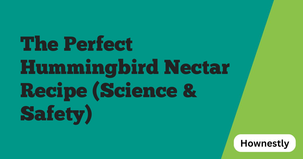 The Perfect Hummingbird Nectar Recipe (Science & Safety)
