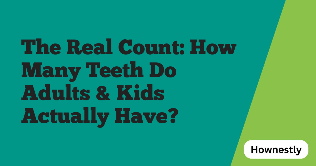 The Real Count: How Many Teeth Do Adults & Kids Actually Have?
