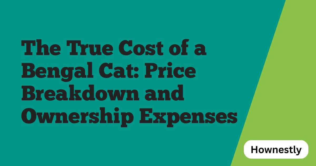 The True Cost of a Bengal Cat: Price Breakdown and Ownership Expenses