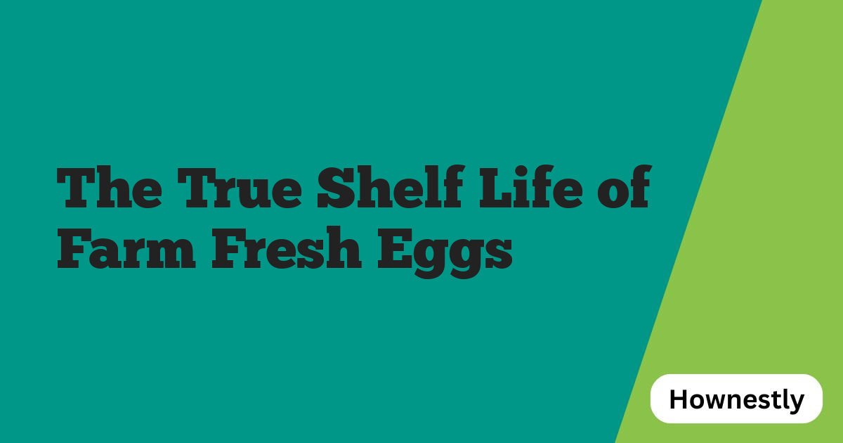 The True Shelf Life of Farm Fresh Eggs