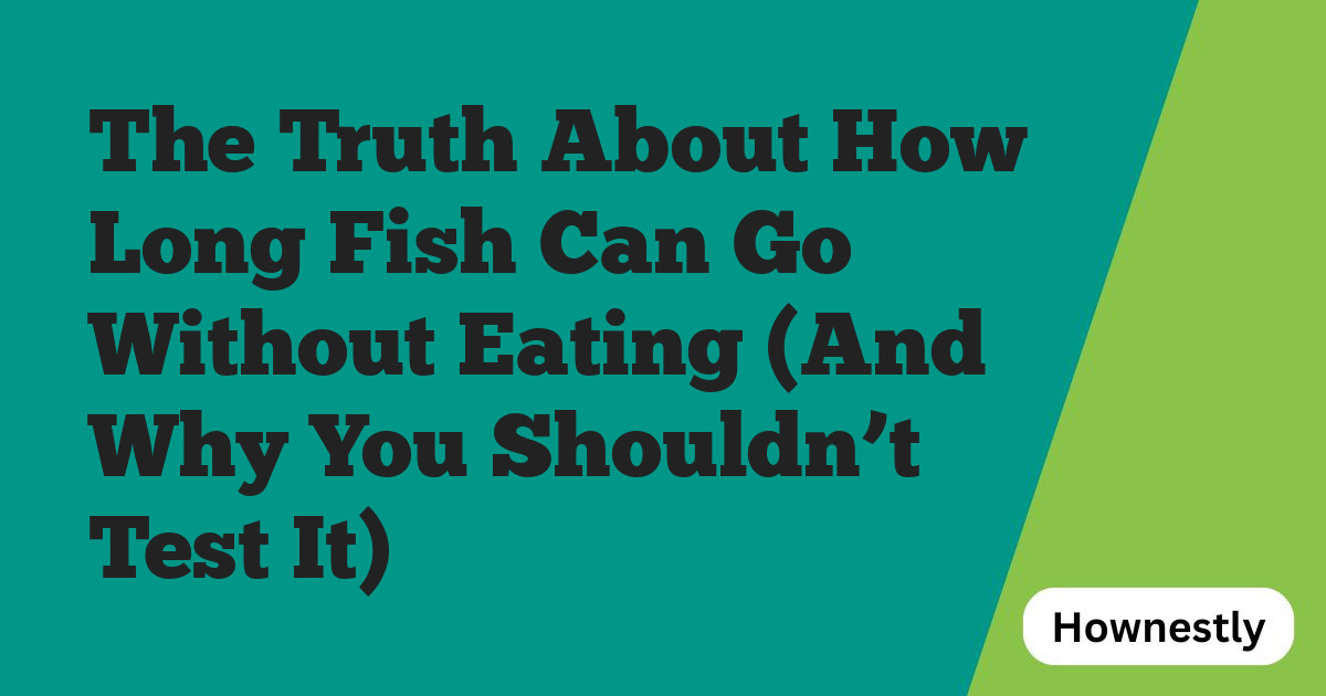 The Truth About How Long Fish Can Go Without Eating (And Why You Shouldn’t Test It)