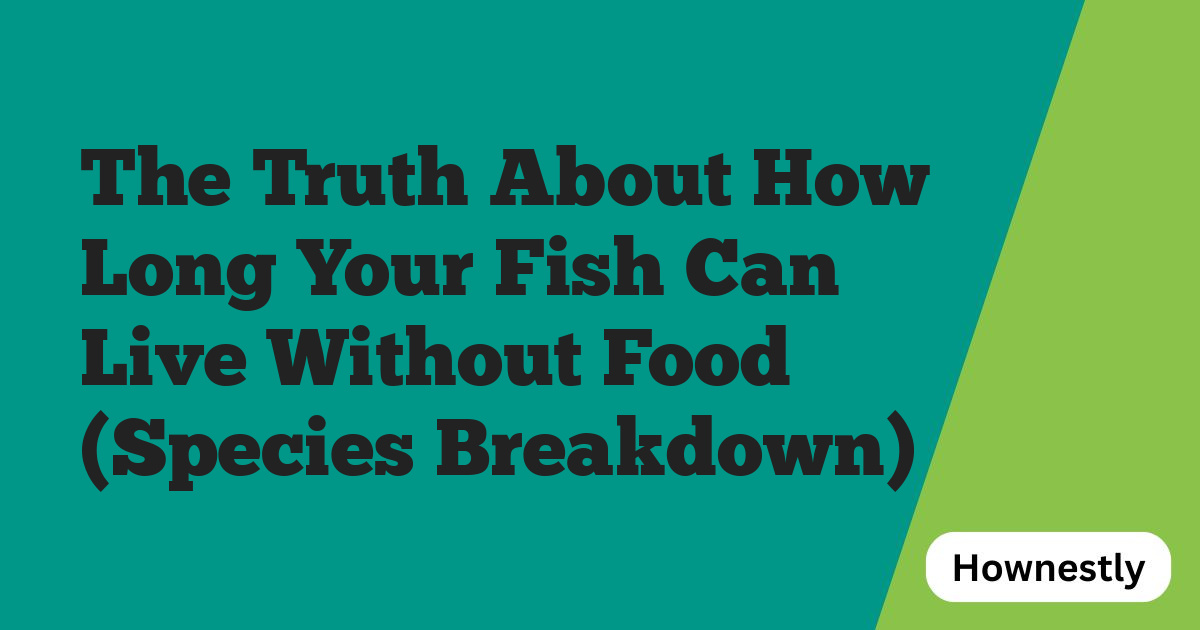 The Truth About How Long Your Fish Can Live Without Food (Species Breakdown)