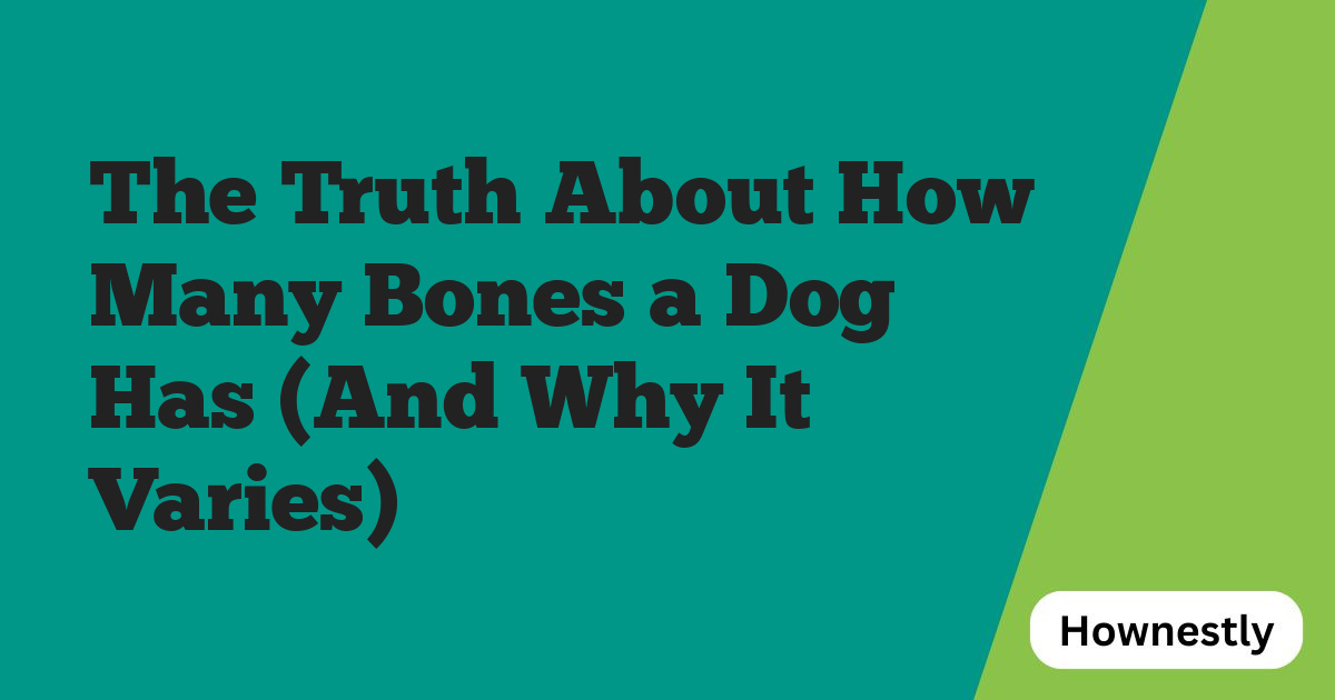 The Truth About How Many Bones a Dog Has (And Why It Varies)