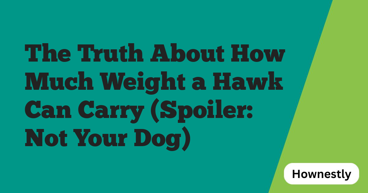 The Truth About How Much Weight a Hawk Can Carry (Spoiler: Not Your Dog)