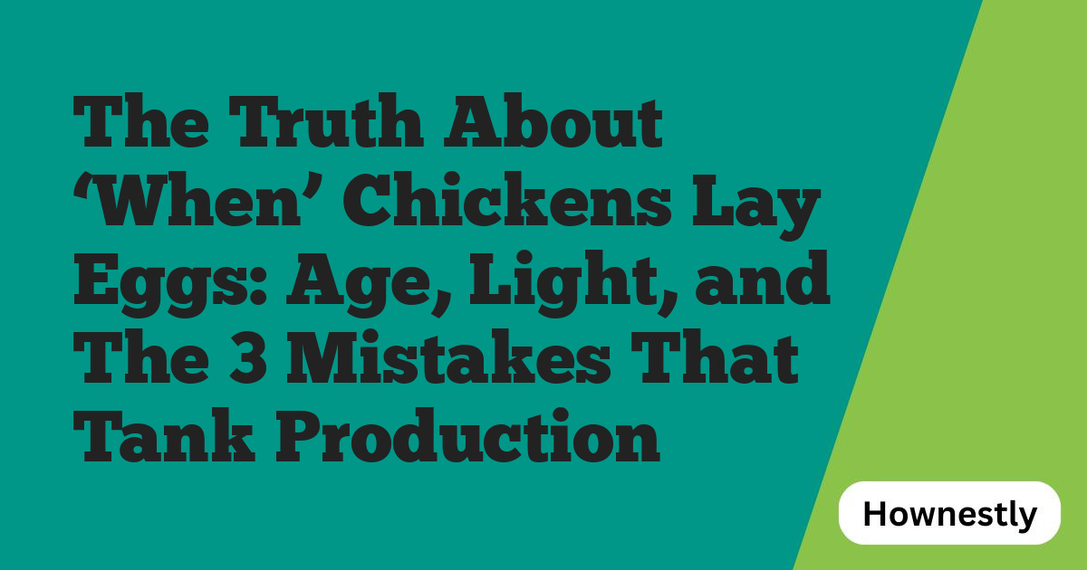 The Truth About ‘When’ Chickens Lay Eggs: Age, Light, and The 3 Mistakes That Tank Production