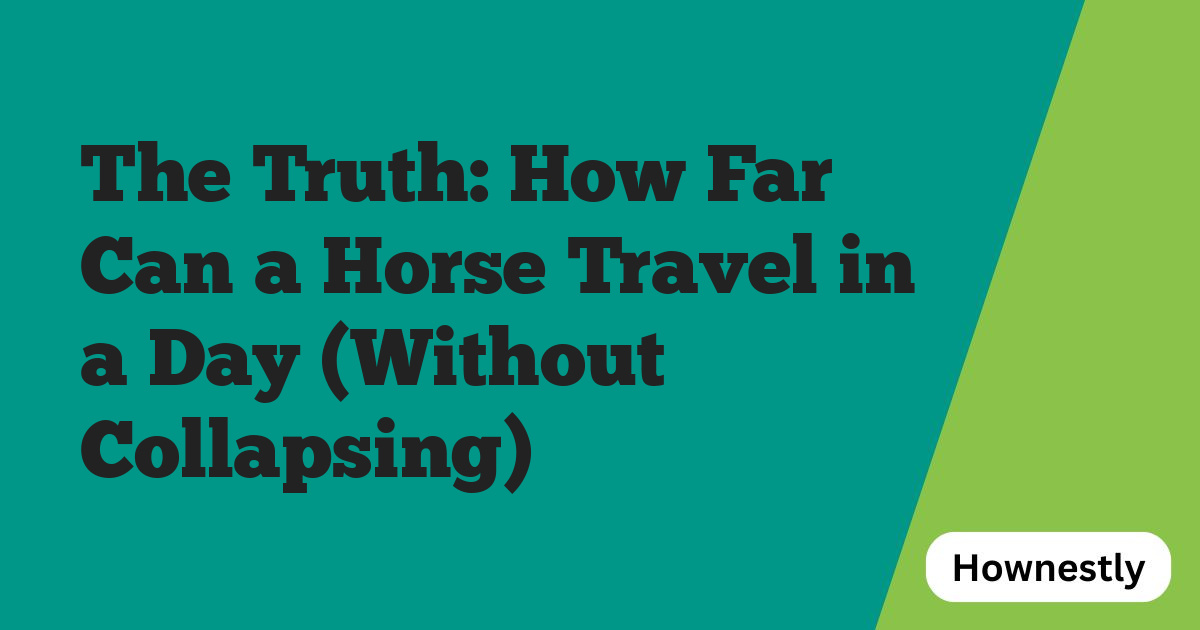 The Truth: How Far Can a Horse Travel in a Day (Without Collapsing)