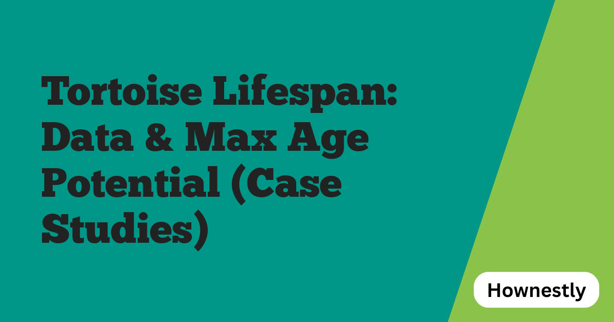 Tortoise Lifespan: Data & Max Age Potential (Case Studies)